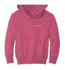 Pink Hoodie Youth